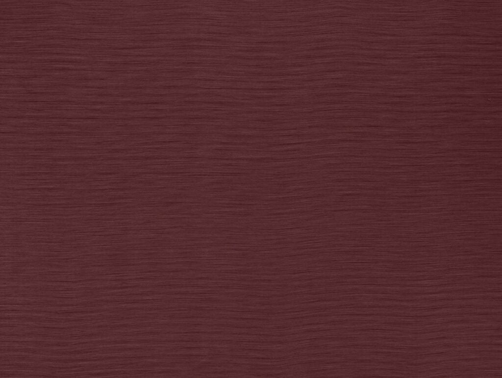 Darwin Collection | AUSTEN CHERRY