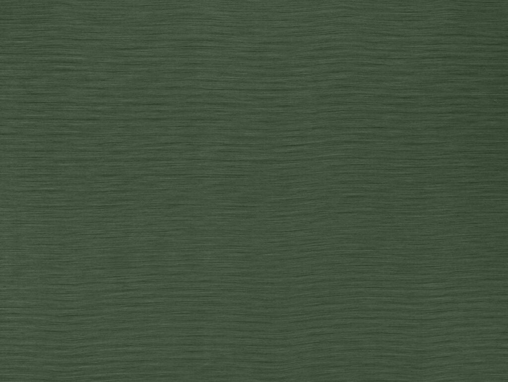 Darwin Collection | AUSTEN EMERALD