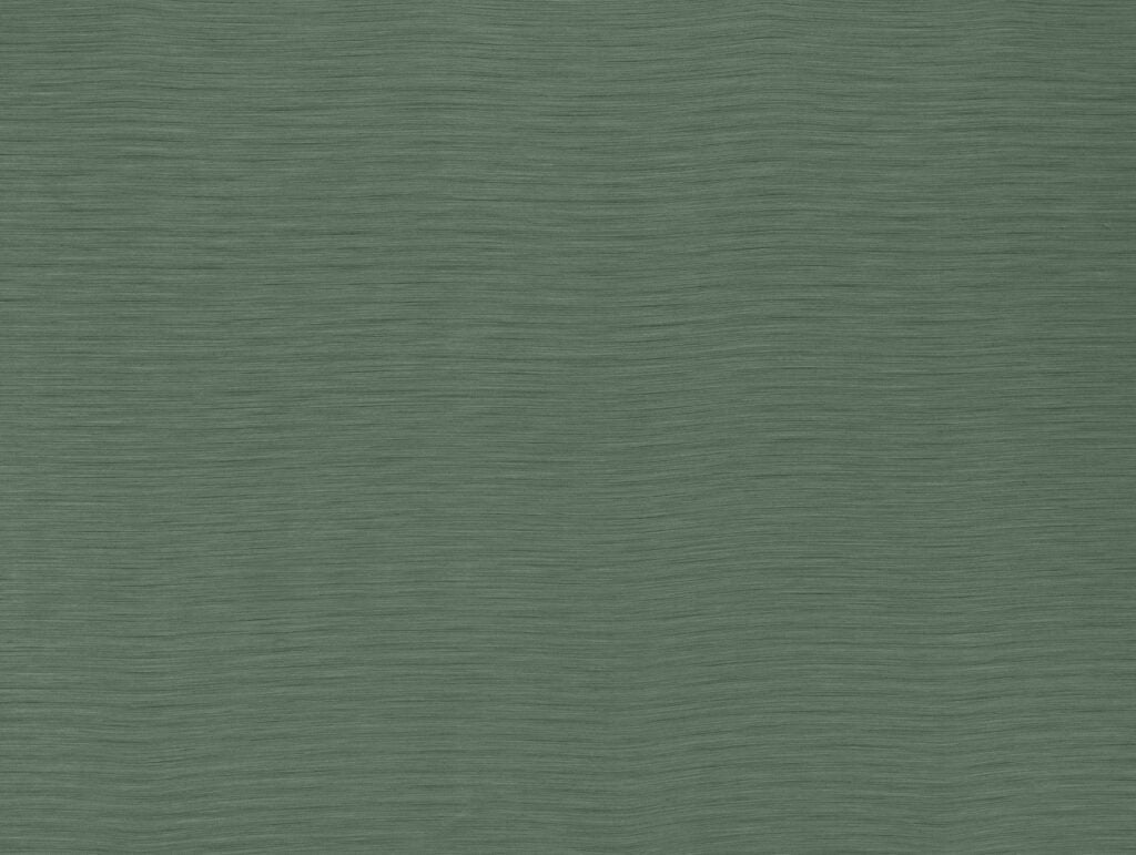 Darwin Collection | AUSTEN JADE
