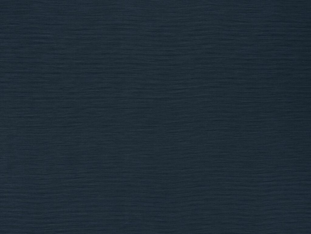 Darwin Collection | AUSTEN NAVY