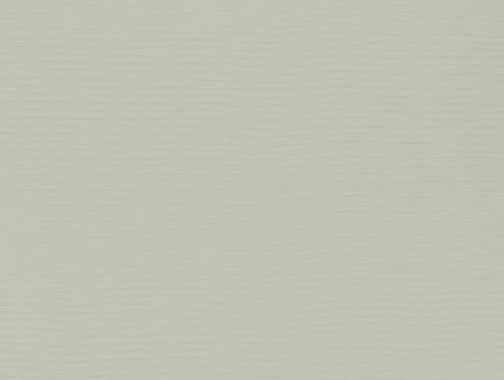 Darwin Collection | AUSTEN OYSTER