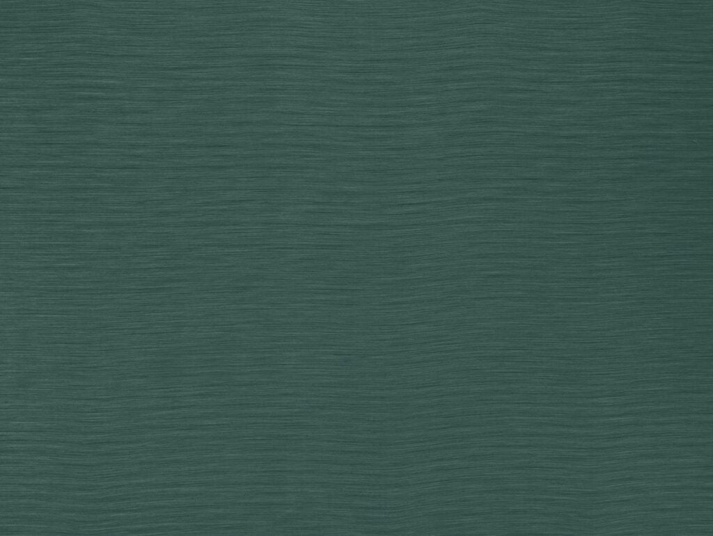 Darwin Collection | AUSTEN TEAL