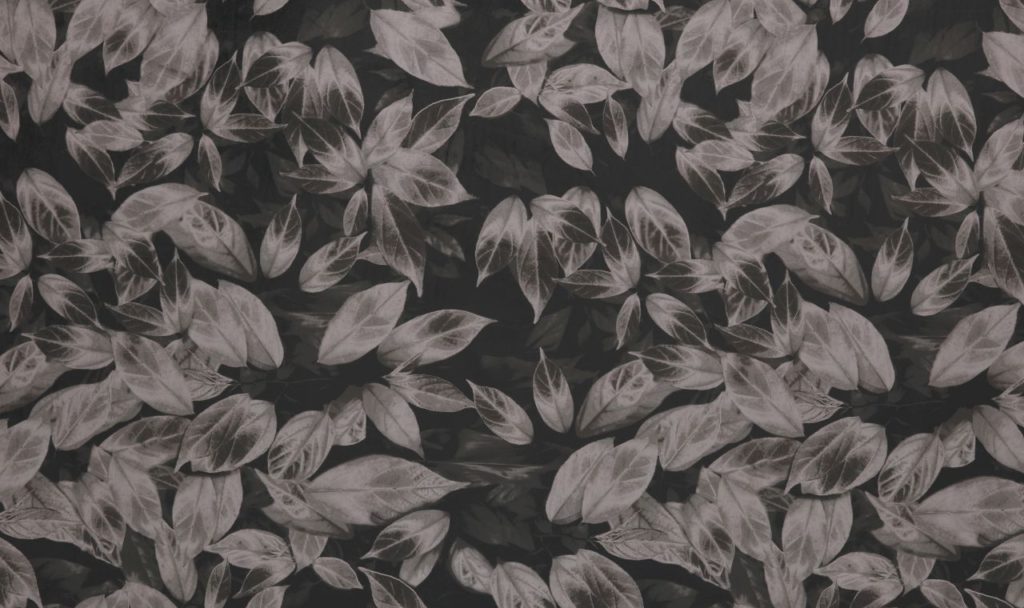 Velluto Collection | GIARDINO TRUFFLE