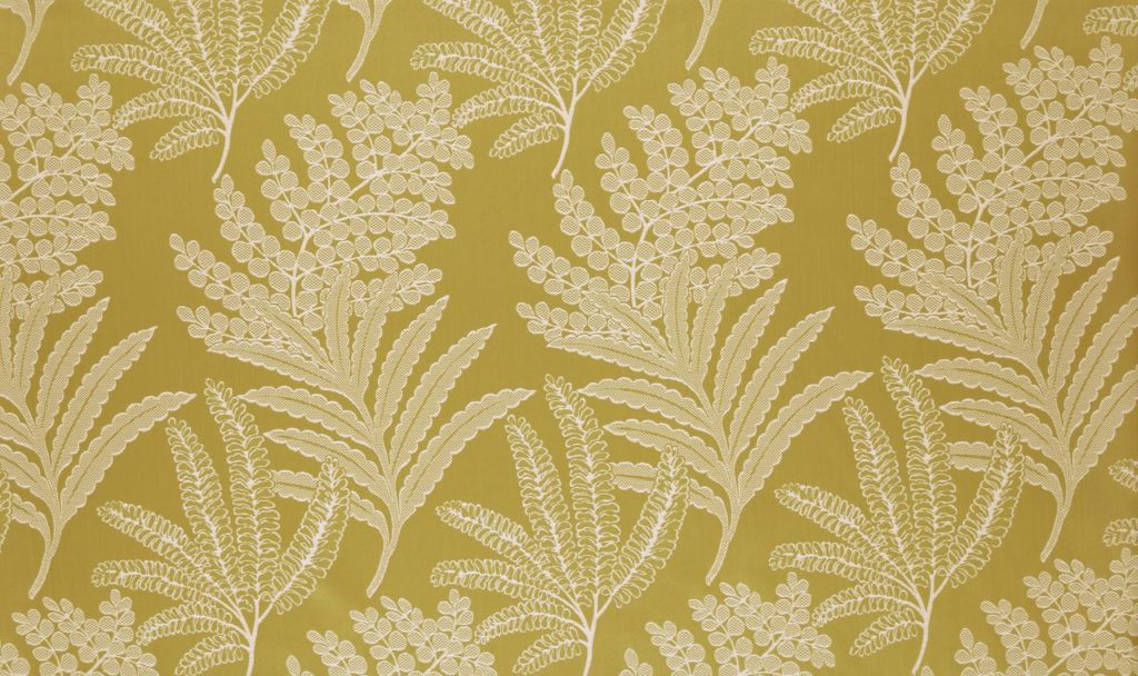 Palm House Collection | MAXIBEL MIMOSA