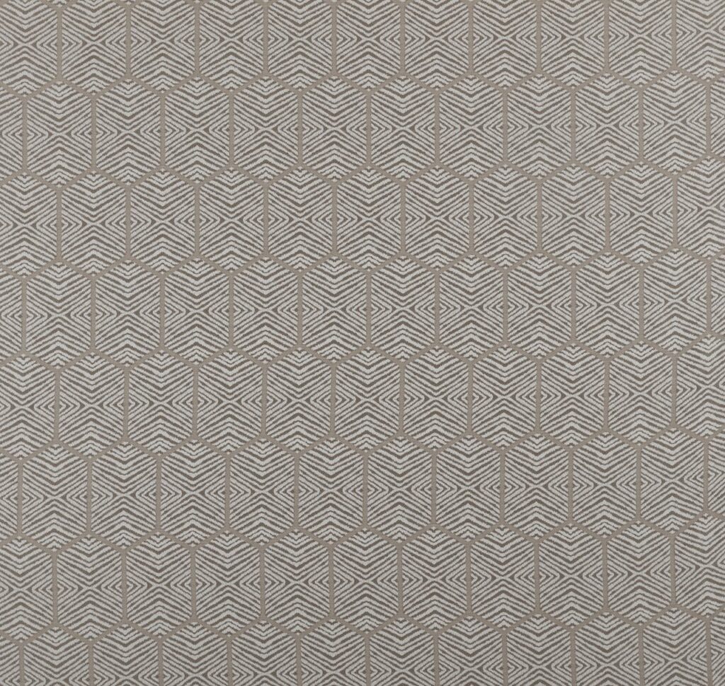 Comet Collection | SCORPIO CHAMPAGNE