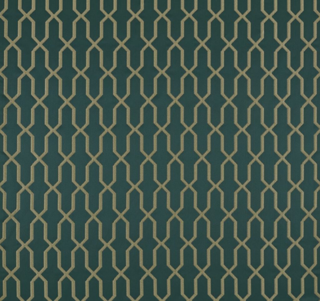 Comet Collection | TITAN PEACOCK
