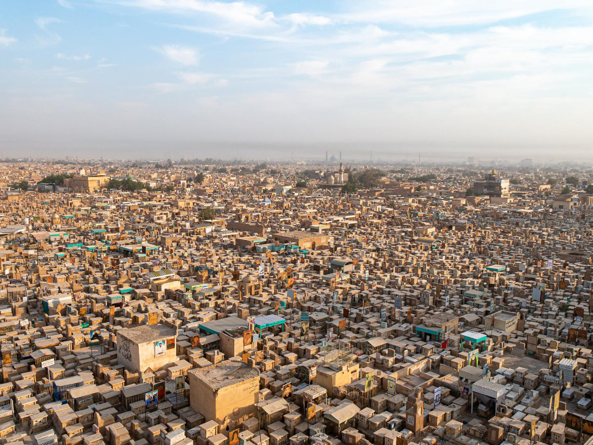 Palm House Collection | GLORIOSA KIWI
