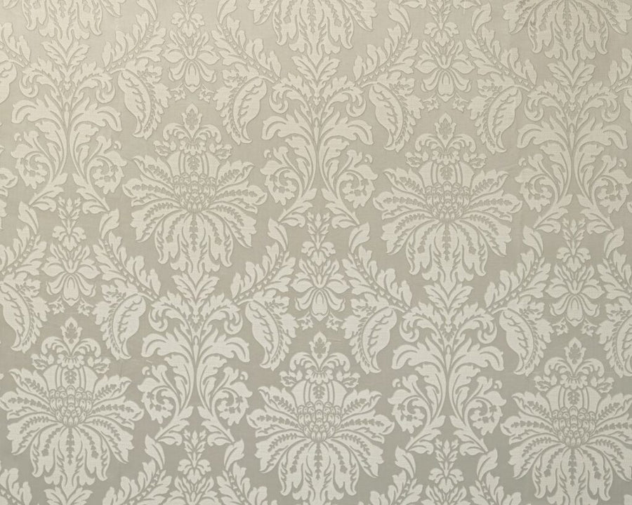 Classica Collection | ANZIO CHAMPAGNE