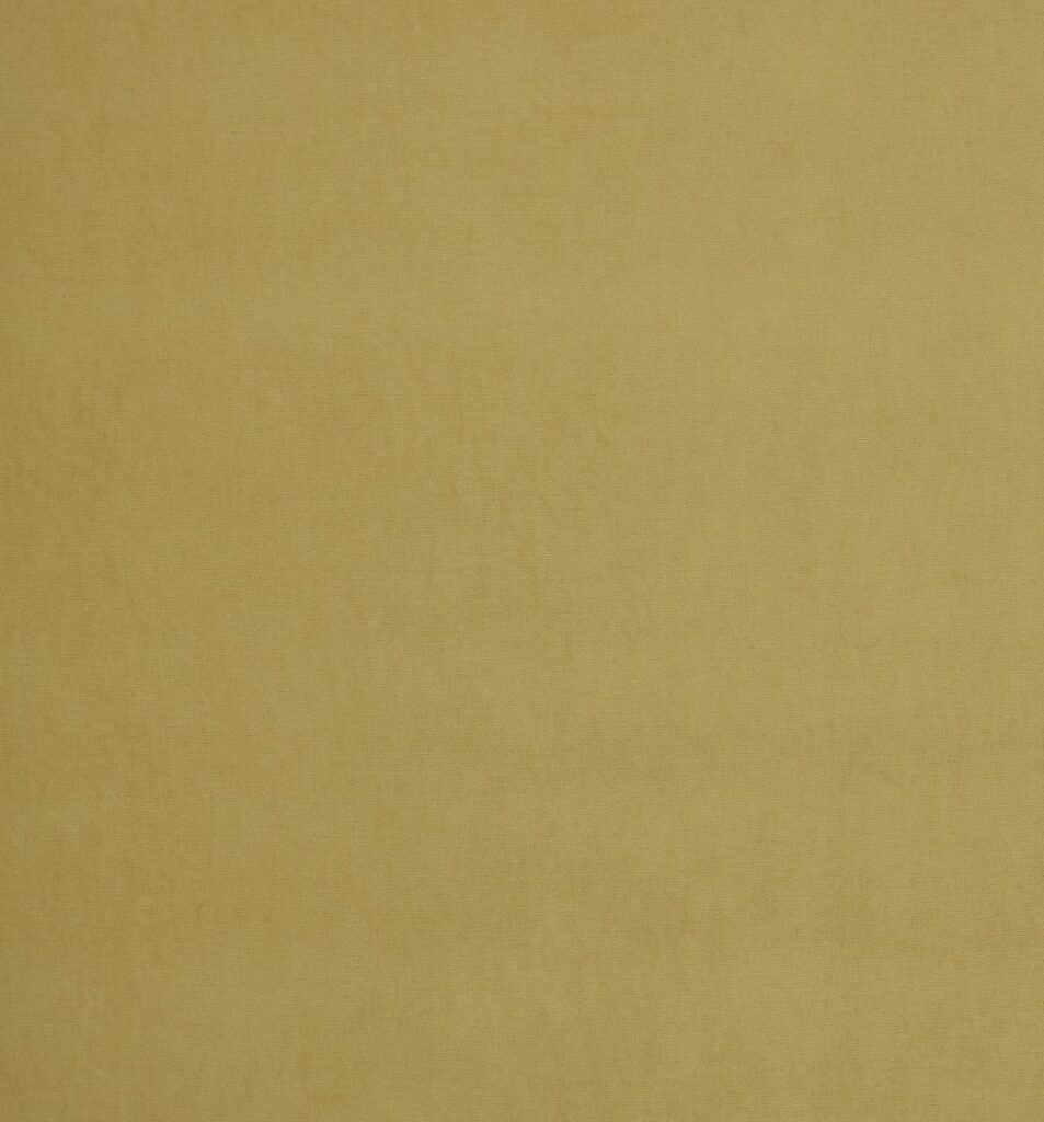Portofino Collection | AREZZO AVOCADO