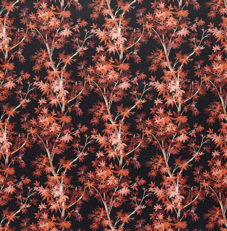 Tahiti Collection | ASPEN SCARLET