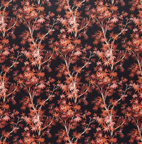 Tahiti Collection | ASPEN SCARLET