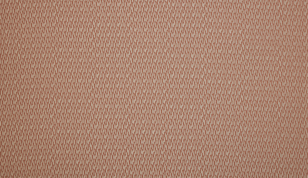 Starlette Collection | ASTRID CORAL