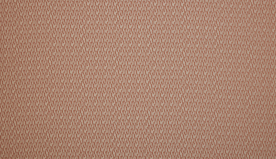 Starlette Collection | ASTRID CORAL