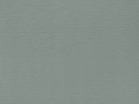 Darwin Collection | AUSTEN ALPINE