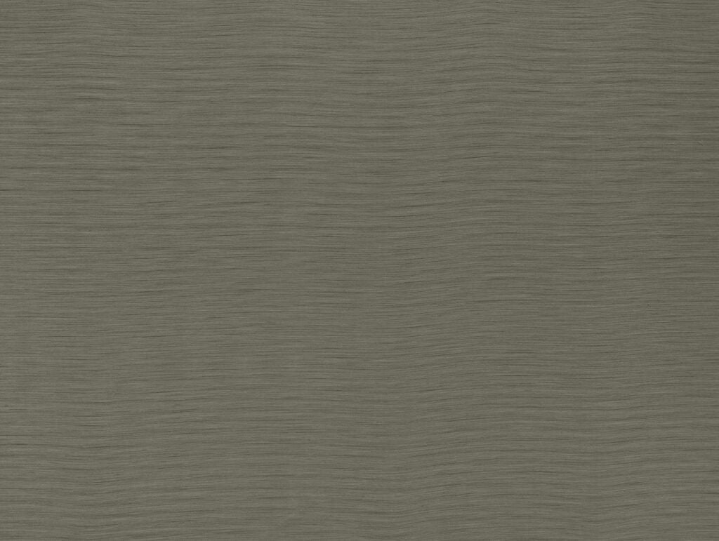 Darwin Collection | AUSTEN BRONZE