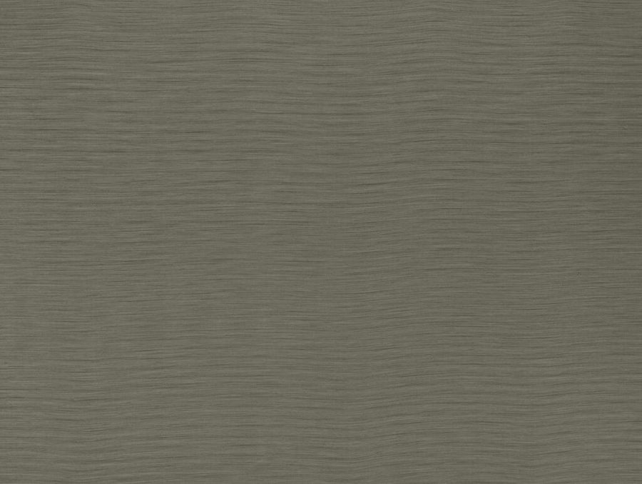 Darwin Collection | AUSTEN BRONZE