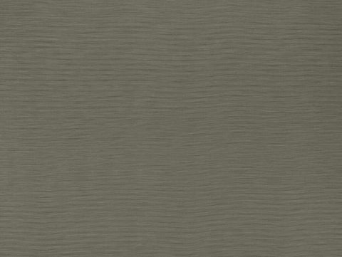 Darwin Collection | AUSTEN BRONZE