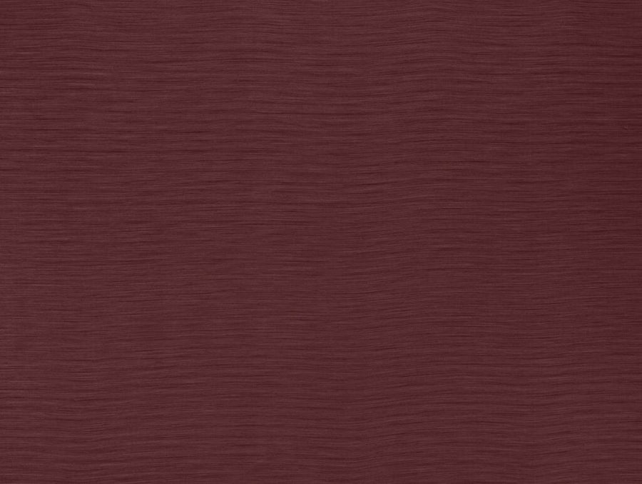 Darwin Collection | AUSTEN CHERRY