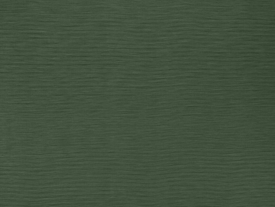 Darwin Collection | AUSTEN EMERALD