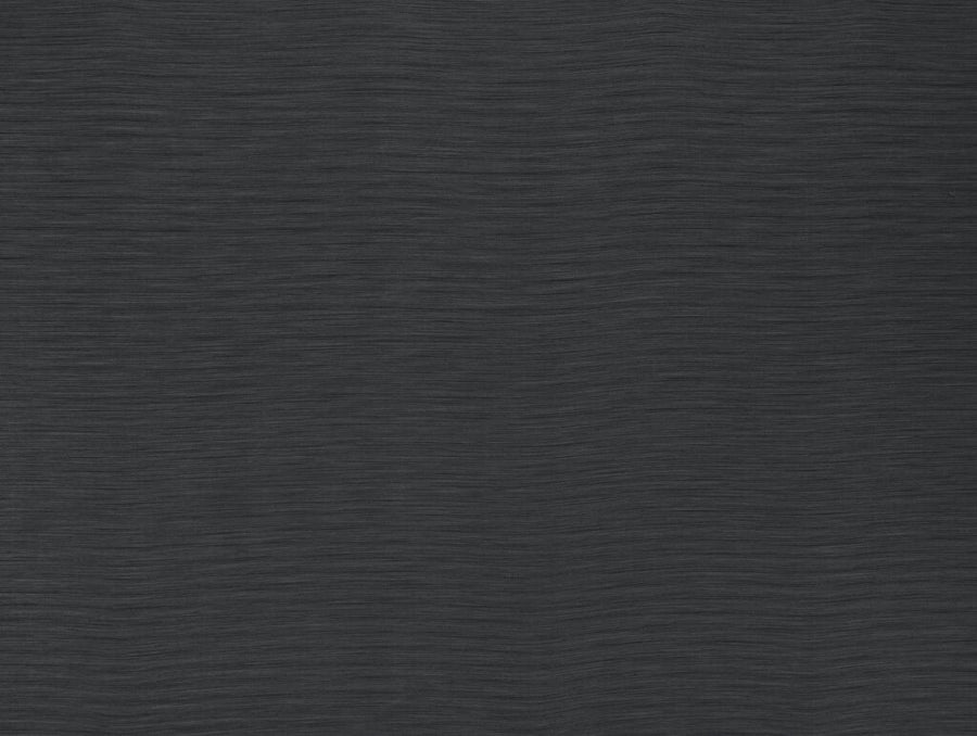 Darwin Collection | AUSTEN GRAPHITE