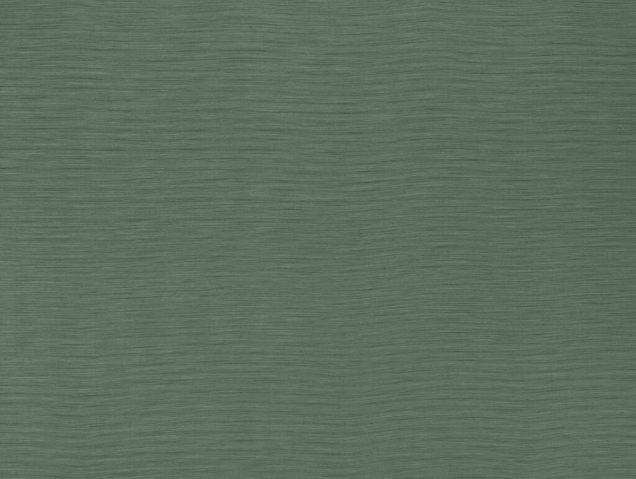 Darwin Collection | AUSTEN JADE