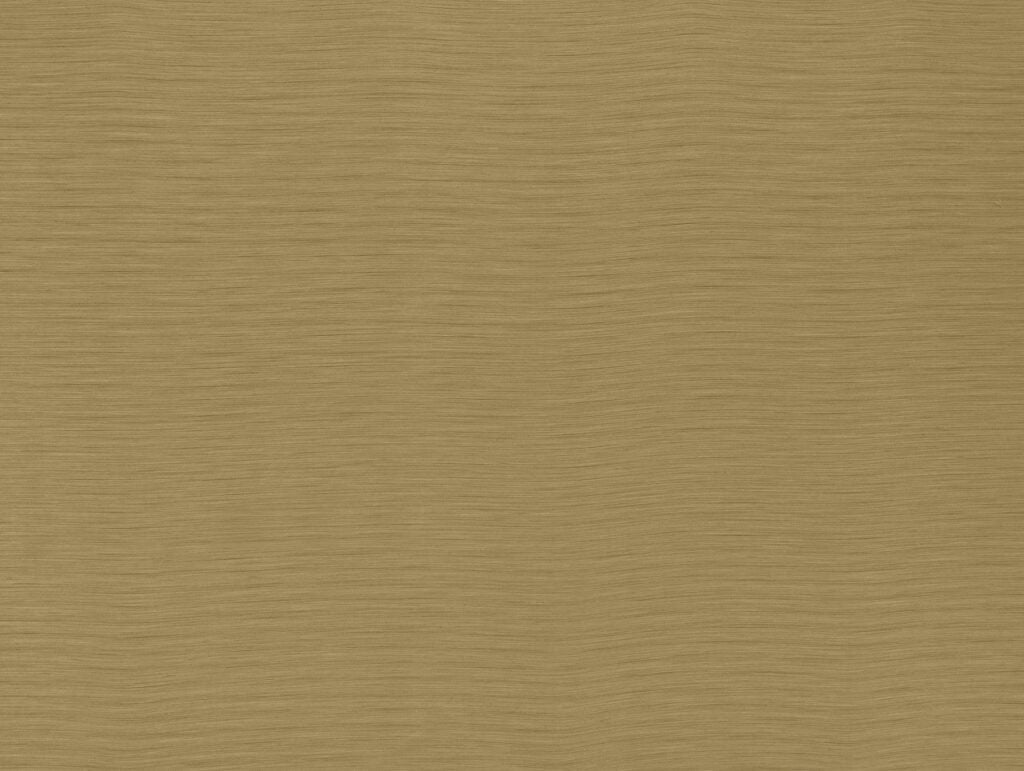 Darwin Collection | AUSTEN OCHRE