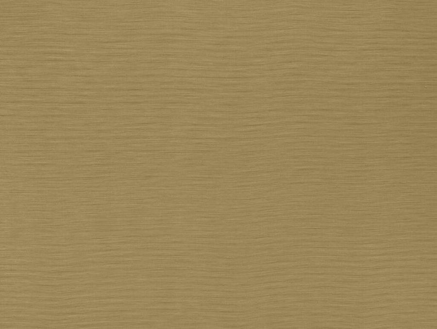 Darwin Collection | AUSTEN OCHRE