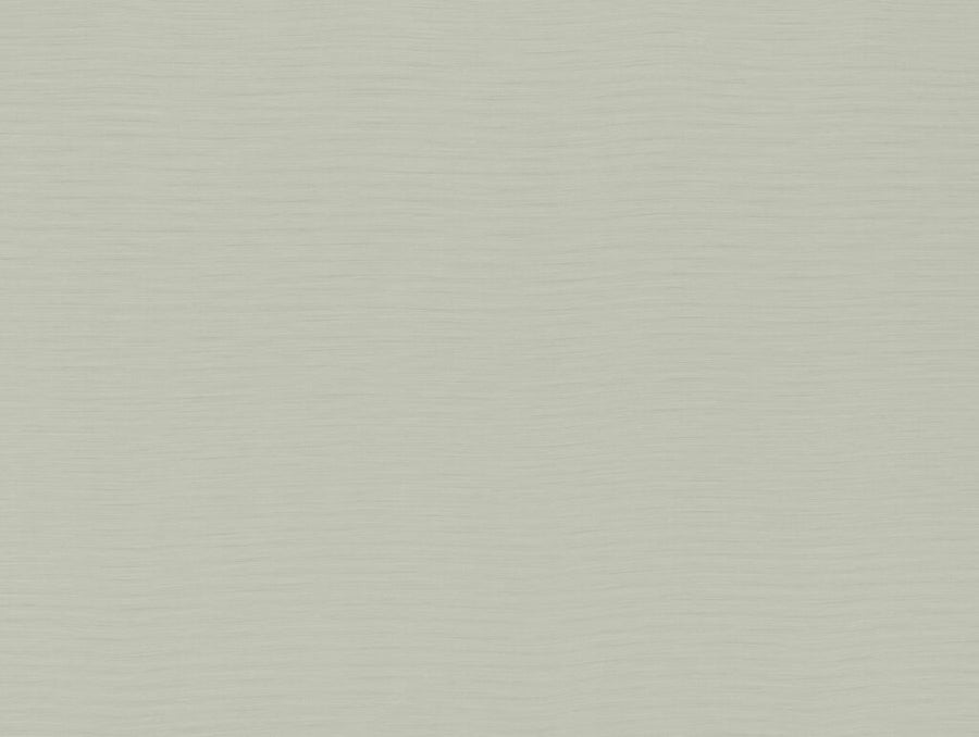 Darwin Collection | AUSTEN OYSTER