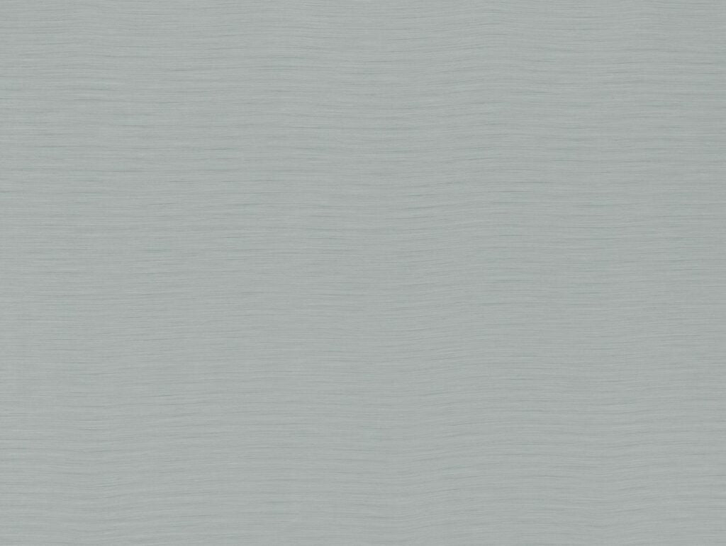 Darwin Collection | AUSTEN SILVER