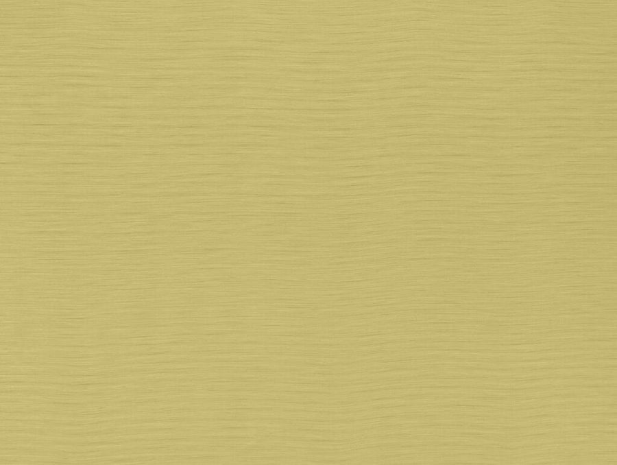 Darwin Collection | AUSTEN SUNFLOWER