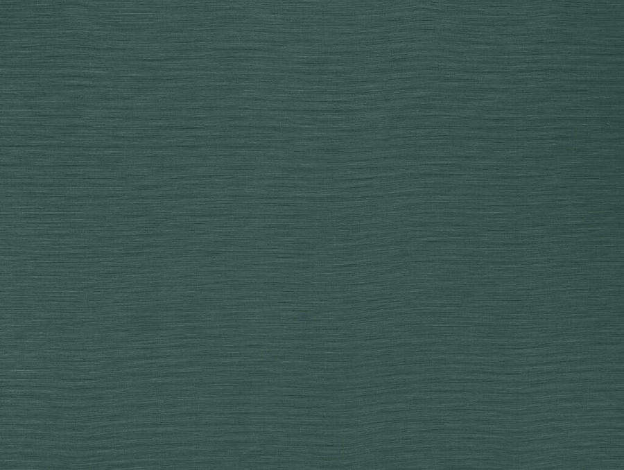 Darwin Collection | AUSTEN TEAL