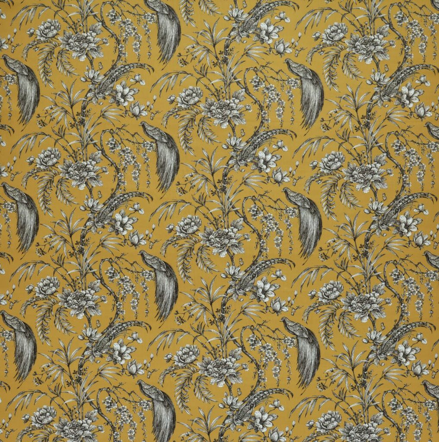 Tahiti Collection | BOTANIST CITRUS