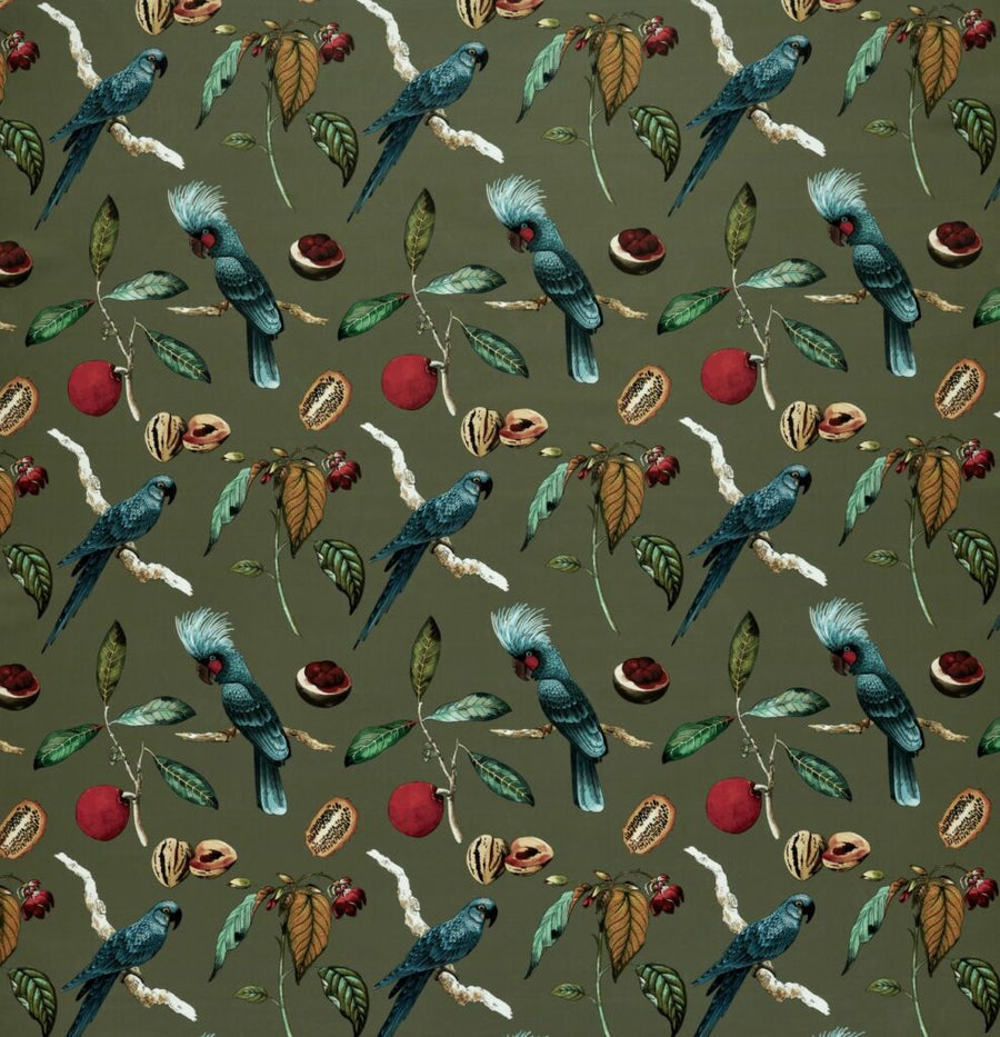 Tahiti Collection | COCKATOO OLIVE