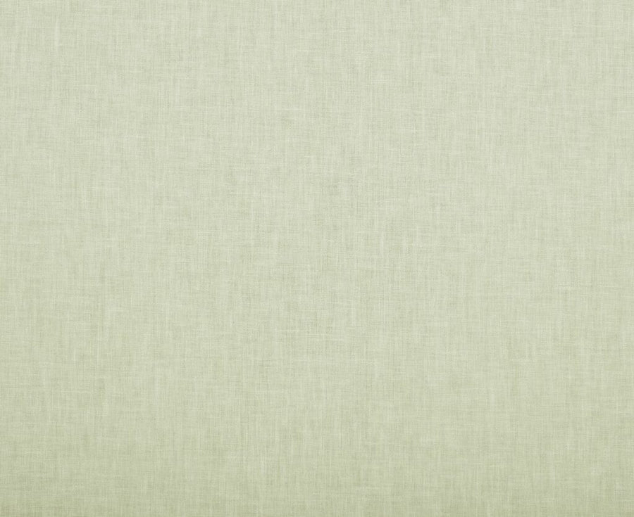 Cole 2 Collection | COLE ALOE
