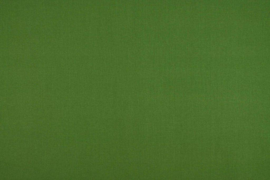 Cole 2 Collection | COLE COL FERN