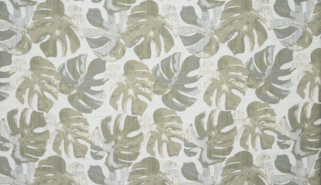 Palm House Collection | DELICIOSA KIWI