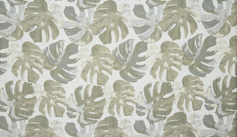 Palm House Collection | DELICIOSA KIWI