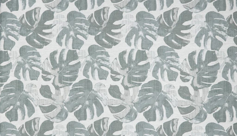 Palm House Collection | DELICIOSA SPA