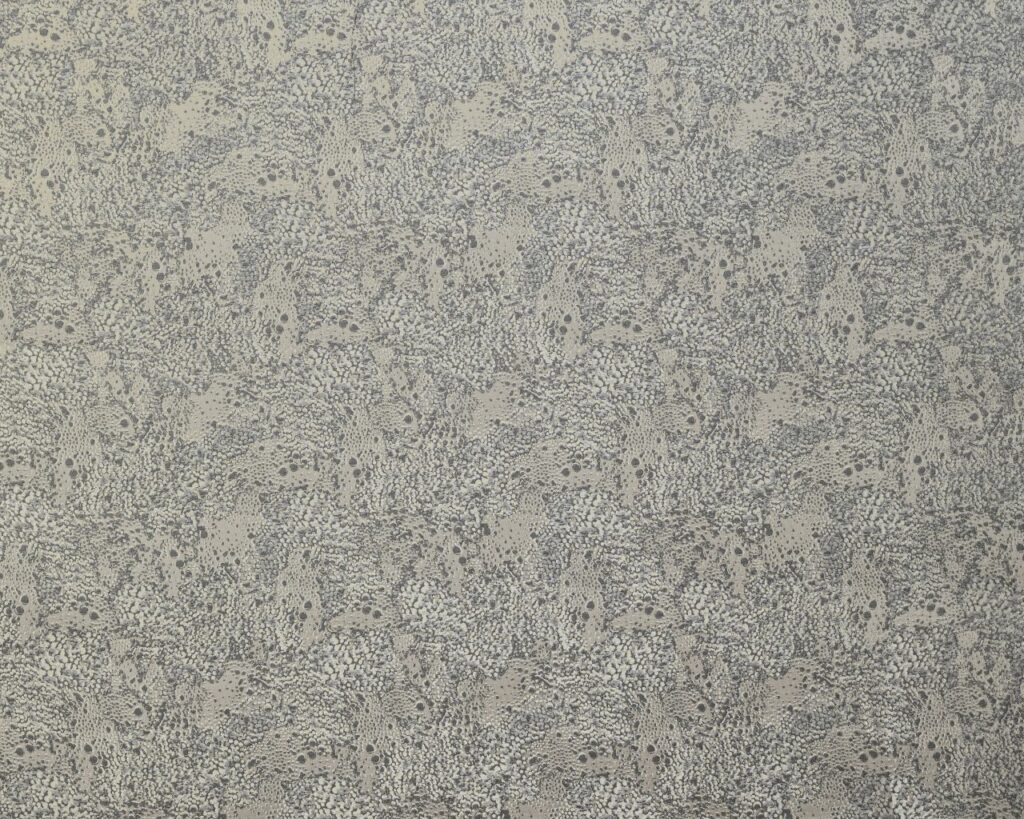 Diffusion Collection | DOLOMITE FOSSIL