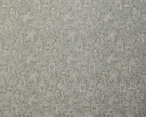 Diffusion Collection | DOLOMITE FOSSIL