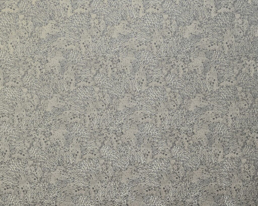 Diffusion Collection | DOLOMITE FOSSIL