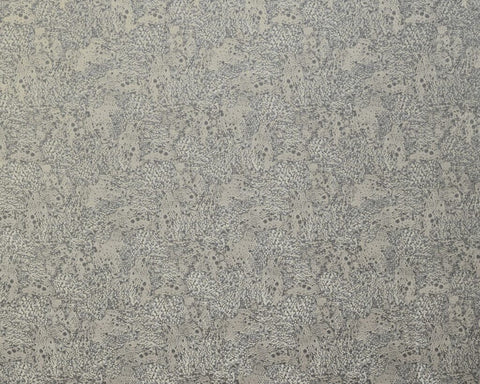 Diffusion Collection | DOLOMITE FOSSIL