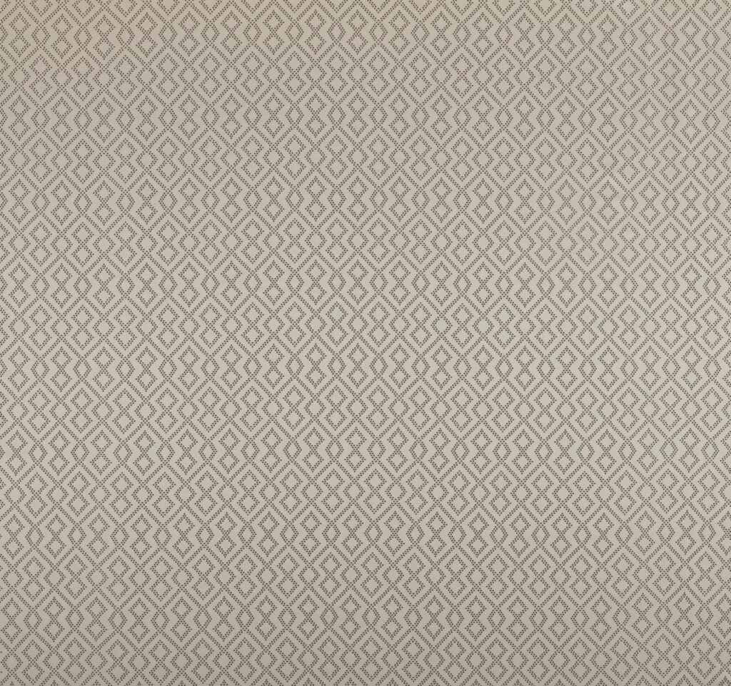 Comet Collection | DRACO CHAMPAGNE