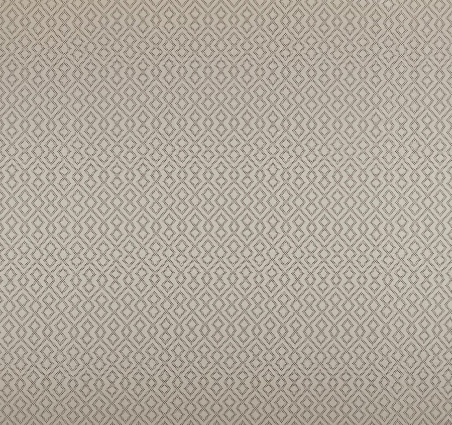 Comet Collection | DRACO CHAMPAGNE