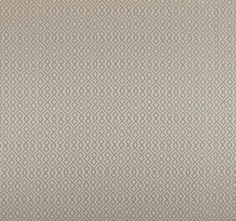 Comet Collection | DRACO CHAMPAGNE