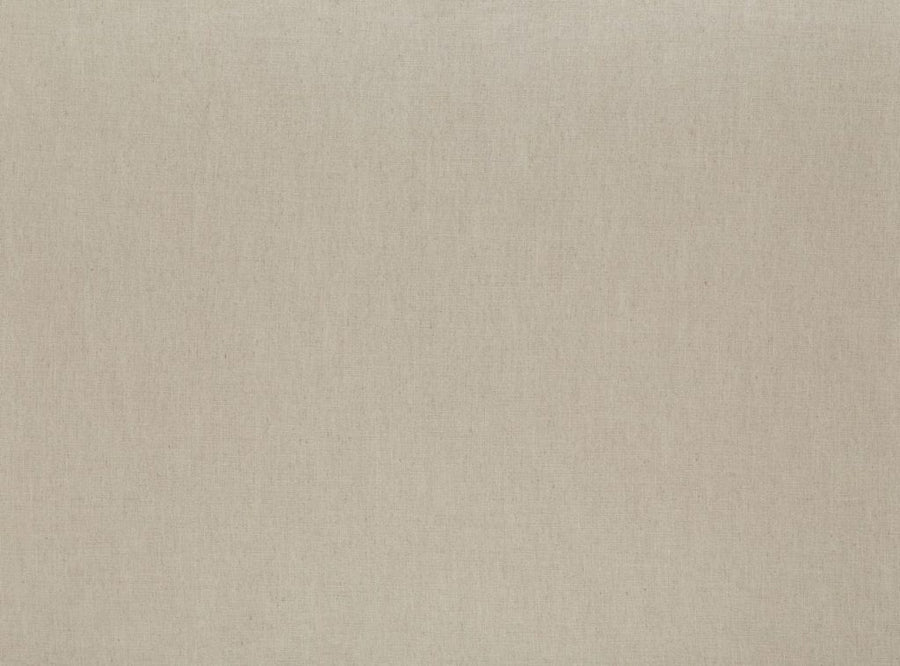 Chantilly Collection | FLORENZO FAWN