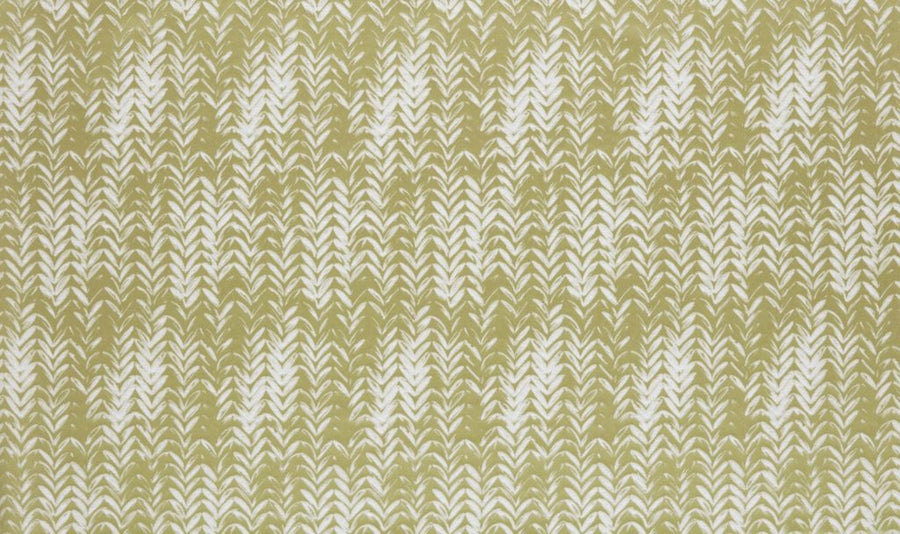 Palm House Collection | FORTEX ZEST