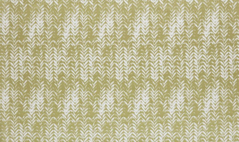 Palm House Collection | FORTEX ZEST