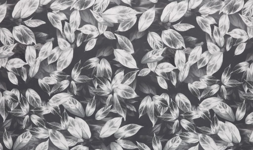 Velluto Collection | GIARDINO SLATE