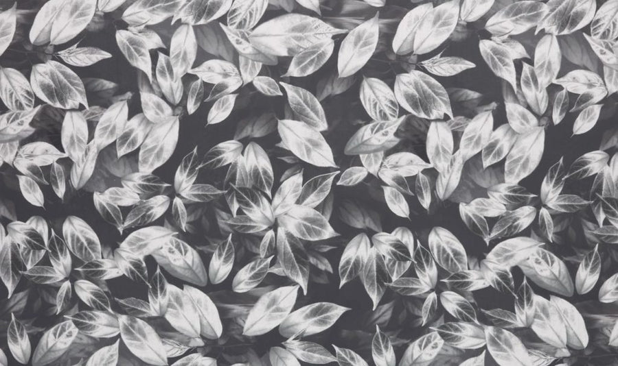 Velluto Collection | GIARDINO SLATE